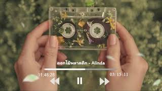 คอร์ดเพลง ดอกไม้พลาสติก