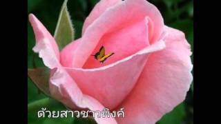คอร์ดเพลง กุหลาบเวียงพิงค์ - อรวี สัจจานนท์