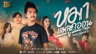 คอร์ดเพลง หมาแม่ลูกอ่อน - มอส เมมโมรี่