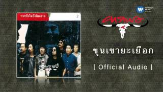คอร์ดเพลง ขุนเขายะเยือก
