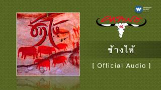 คอร์ดเพลง ช้างไห้