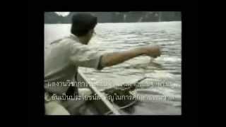 คอร์ดเพลง สืบทอดเจตนา (สืบ นาคะเสถียร)