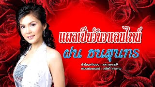 คอร์ดเพลง แผลเป็นวันวาเลนไทน์ - ฝน ธนสุนทร