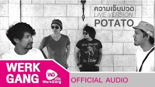 คอร์ดเพลง ความเจ็บปวด - POTATO
