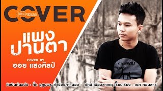 คอร์ดเพลง แพงปานตา