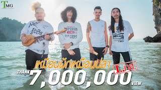 คอร์ดเพลง เหมือนผักเหมือนปลา - L.กฮ.