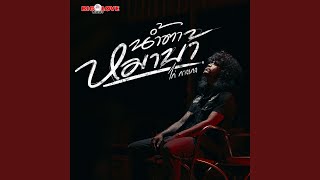 คอร์ดเพลง น้ำตาหมาบ้า - ไก่ กางเกง