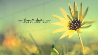 คอร์ดเพลง ดอกหญ้า - แต้ ศิลา