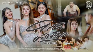 คอร์ดเพลง โสดผัวติด - สตางค์ พรธิดา