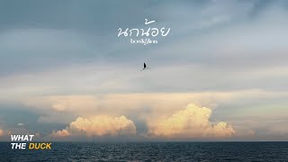 คอร์ดเพลง นกน้อย (noknoi) - BOWKYLION