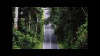 คอร์ดเพลง เขาใหญ่ - พงษ์เทพ กระโดนชำนาญ