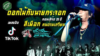 คอร์ดเพลง ดอกไม้กับนายกระจอก - สีเผือก คนด่านเกวียน