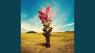 คอร์ดเพลง ดอกกระเจียวบาน - ก้อง ห้วยไร่