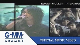 คอร์ดเพลง เพลงของคนโง่ - Sweet Mullet