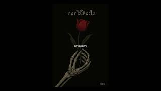 คอร์ดเพลง ดอกไม้สีอะไร - Intha