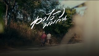 คอร์ดเพลง เอาไว้พบกัน - Phumin