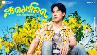 คอร์ดเพลง สาดมาโลด - SGM, ป่าแก้ว แววทุ่ง