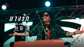 คอร์ดเพลง ยางรัก (Reproduced 2026) - อ.ไข่ มาลีฮวนน่า