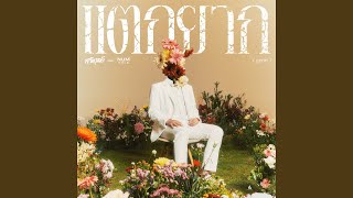 คอร์ดเพลง แตกยาก (Gems) - สามานย์ x Num KALA