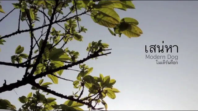 คอร์ดเพลง เสน่หา - Moderndog