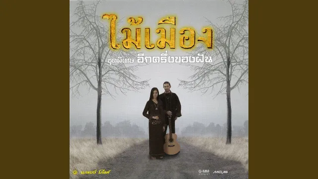 คอร์ดเพลง อีกครึ่งของฝัน - ไม้เมือง