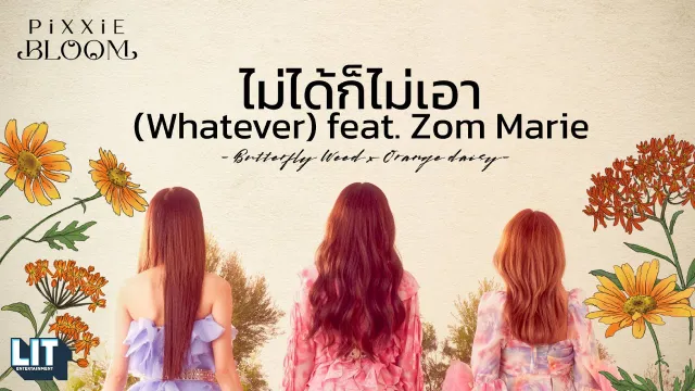 คอร์ดเพลง ไม่ได้ก็ไม่เอา (Whatever) - PiXXiE