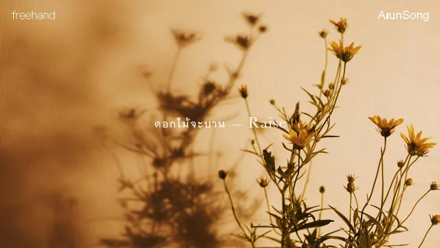 คอร์ดเพลง ดอกไม้จะบาน (Raise) - FREEHAND
