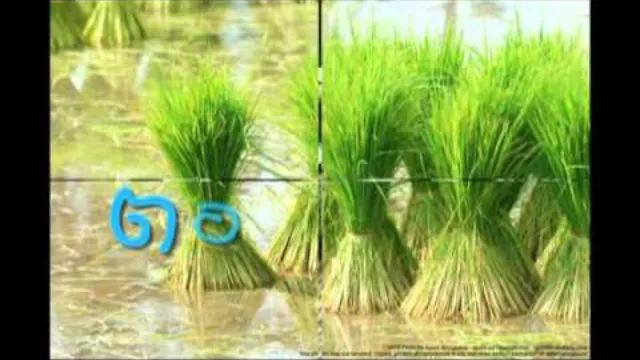 คอร์ดเพลง ตอกมัดใจ - แมน มอเตอร์ไซค์