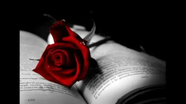 คอร์ดเพลง ดอกไม้กับแจกัน - ใหม่ เจริญปุระ