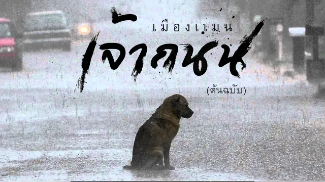 คอร์ดเพลง เจ้าถนน - เมืองแมน