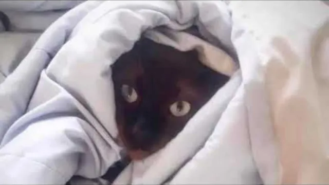 คอร์ดเพลง น่ารักชุบแป้งทอด - ชีวิน ขวัญใจคนเดิม