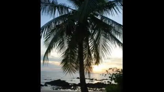 คอร์ดเพลง พร้าว - มาลีฮวนน่า