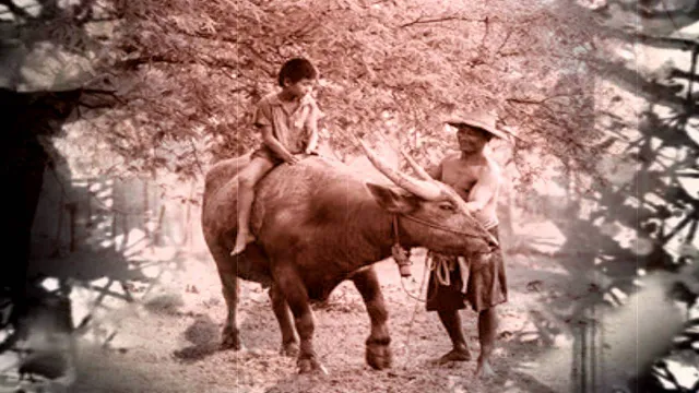 คอร์ดเพลง ชาวนาอาลัย - สีเผือก คนด่านเกวียน