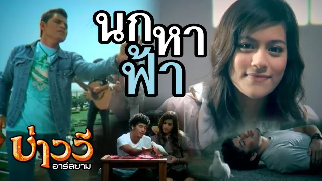 คอร์ดเพลง นกหาฟ้า - บ่าววี อาร์สยาม