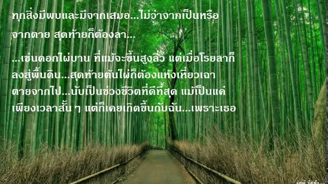 คอร์ดเพลง ดอกไผ่บาน - คาราบาว ปาน