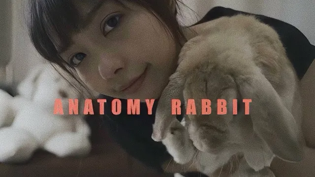 คอร์ดเพลง แอบหวัง - ANATOMY RABBIT