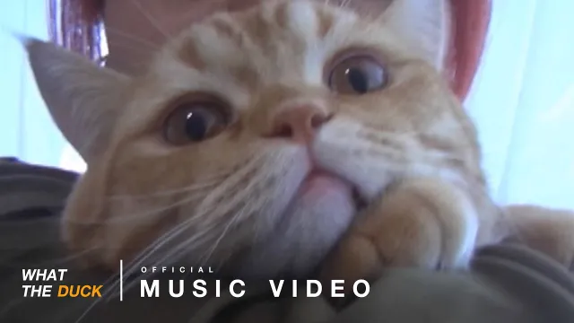 คอร์ดเพลง เพลงรักเพลงแรก (Blooming) - LANDOKMAI