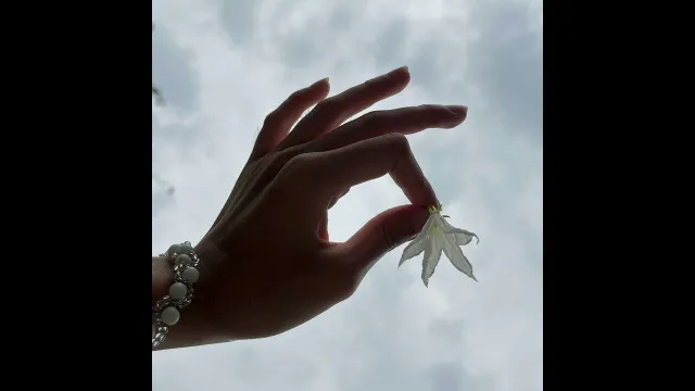 คอร์ดเพลง ผกา (Flower) - JUNENOM