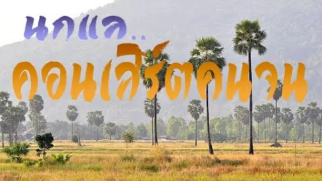 คอร์ดเพลง คอนเสิร์ตคนจน - นกแล