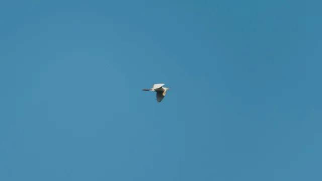 คอร์ดเพลง ฝากฝัน - เรืองฤทธิ์ บุญรอด