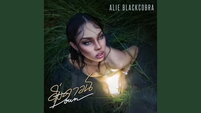 คอร์ดเพลง ดิ่งดาวน์ (DOWN) - ALIE BLACKCOBRA