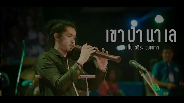 คอร์ดเพลง เขาป่านาเล - แท็ป วชิระ วงเพกา