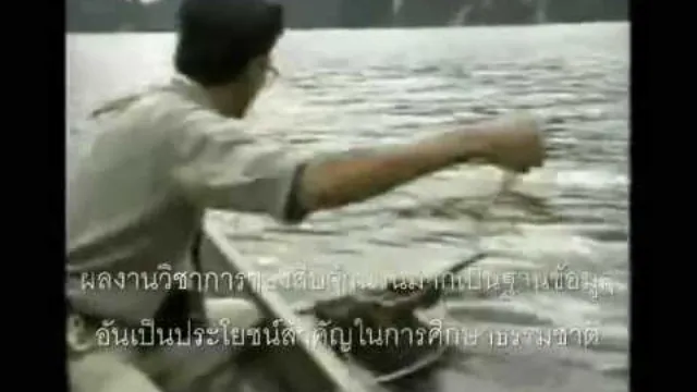 คอร์ดเพลง สืบทอดเจตนา (สืบ นาคะเสถียร) - คาราบาว