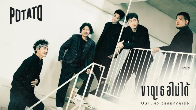 คอร์ดเพลง ขาดเธอไม่ได้ - POTATO