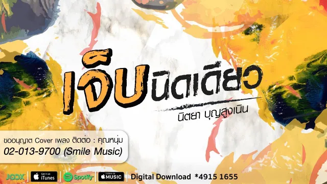 คอร์ดเพลง เจ็บนิดเดียว - นิตยา บุญสูงเนิน