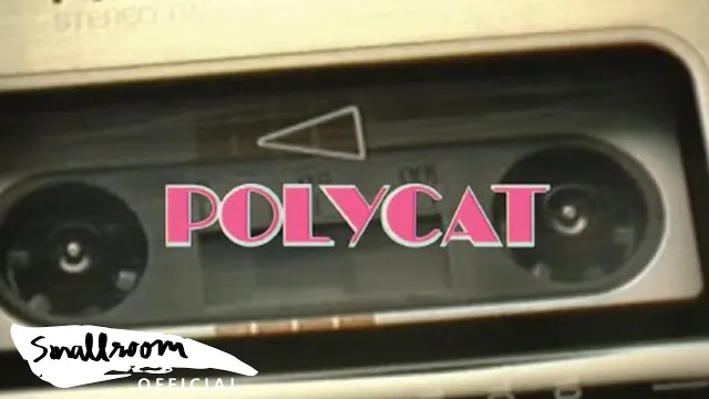 คอร์ดเพลง พบกันใหม่ - POLYCAT