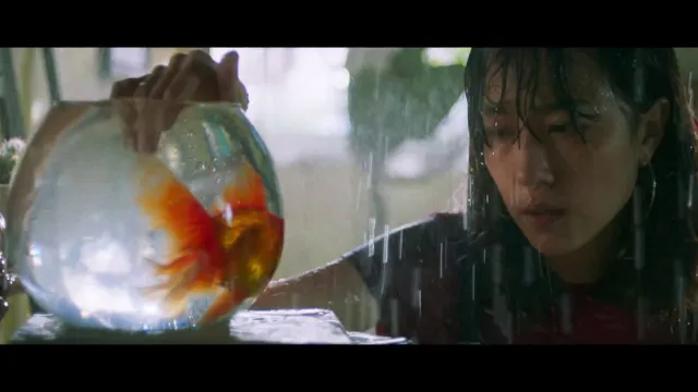 คอร์ดเพลง Linger - Zweed n Roll