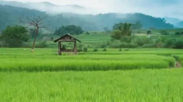 คอร์ดเพลง ฟ้ามืดบ่ดน - ศร สินชัย ft.ดอกอ้อ ทุ่งทอง