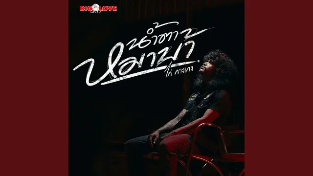คอร์ดเพลง น้ำตาหมาบ้า - ไก่ กางเกง