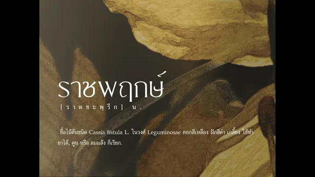 คอร์ดเพลง วอนฤทัยหวนคืน - JUNENOM